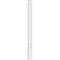 Ekena Millwork Raised Panel PVC Pilaster w/Decorative Capital & Base, 10"W x 102"H x 2"P PILP10X102RP02-2 - alternate 2